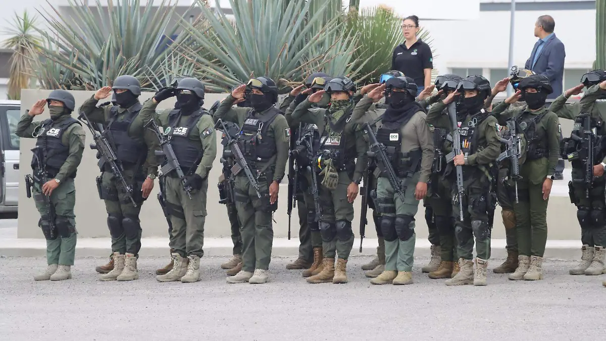 Guardia Civil Estatal elementos (2)